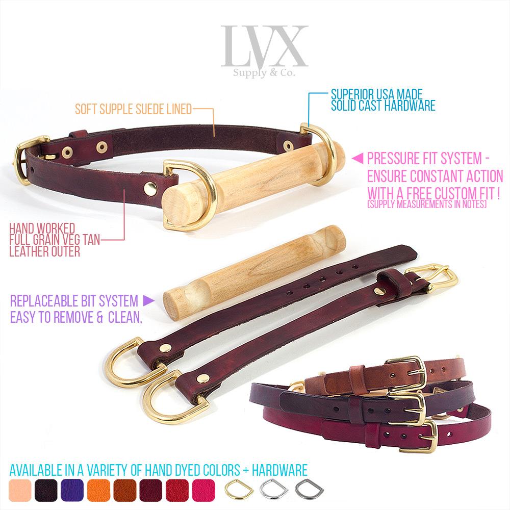 BDSM Bit Gag Leather Collar with Poplar Bit | LVX Supply & Co.