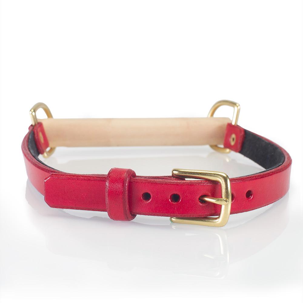 BDSM Bit Gag Leather Collar with Poplar Bit | LVX Supply & Co.