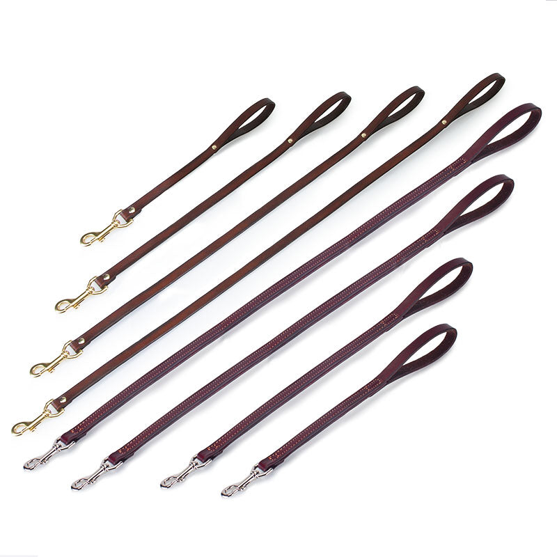 Ties +  Clips + Leashes