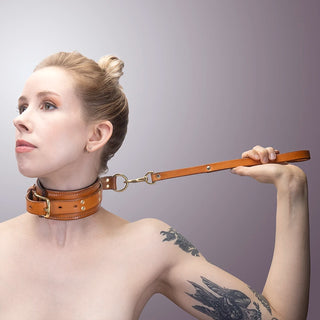 Classic Padded Choking Collar