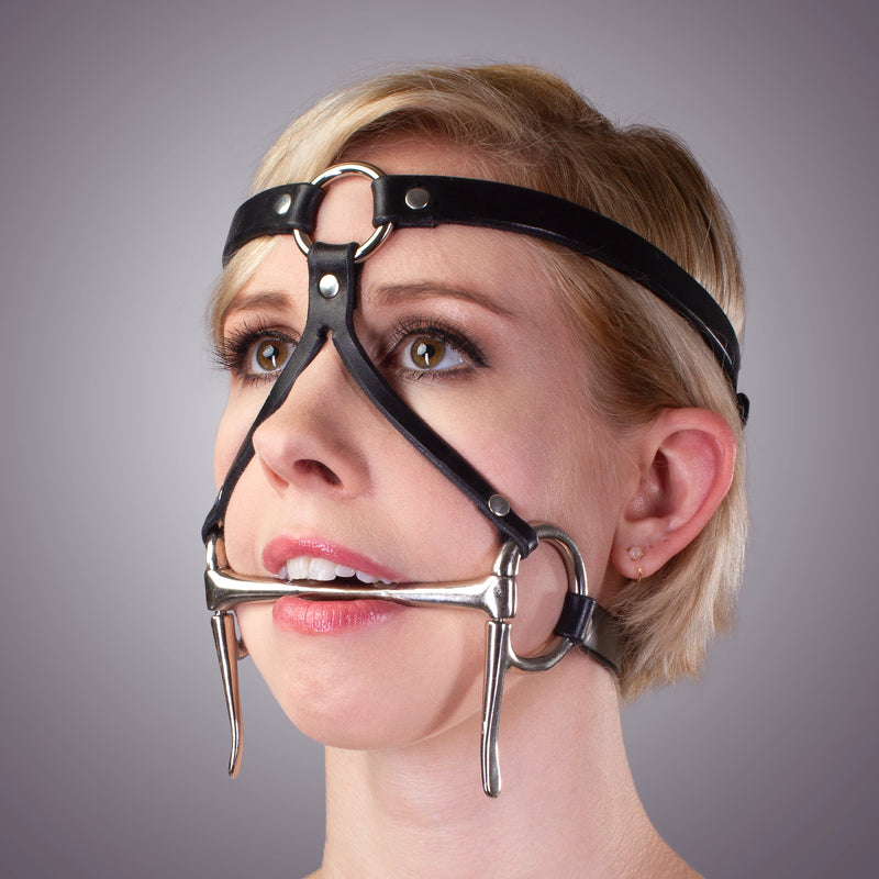 Bit Gag Bridle & Reins