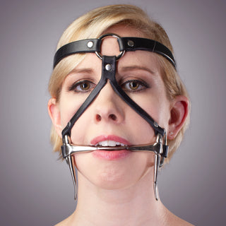 Bit Gag Bridle & Reins