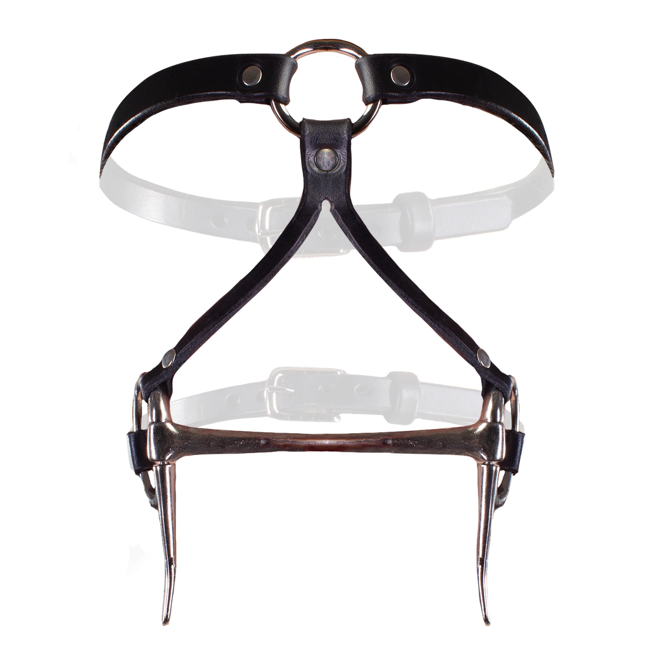 Bit Gag Bridle & Reins