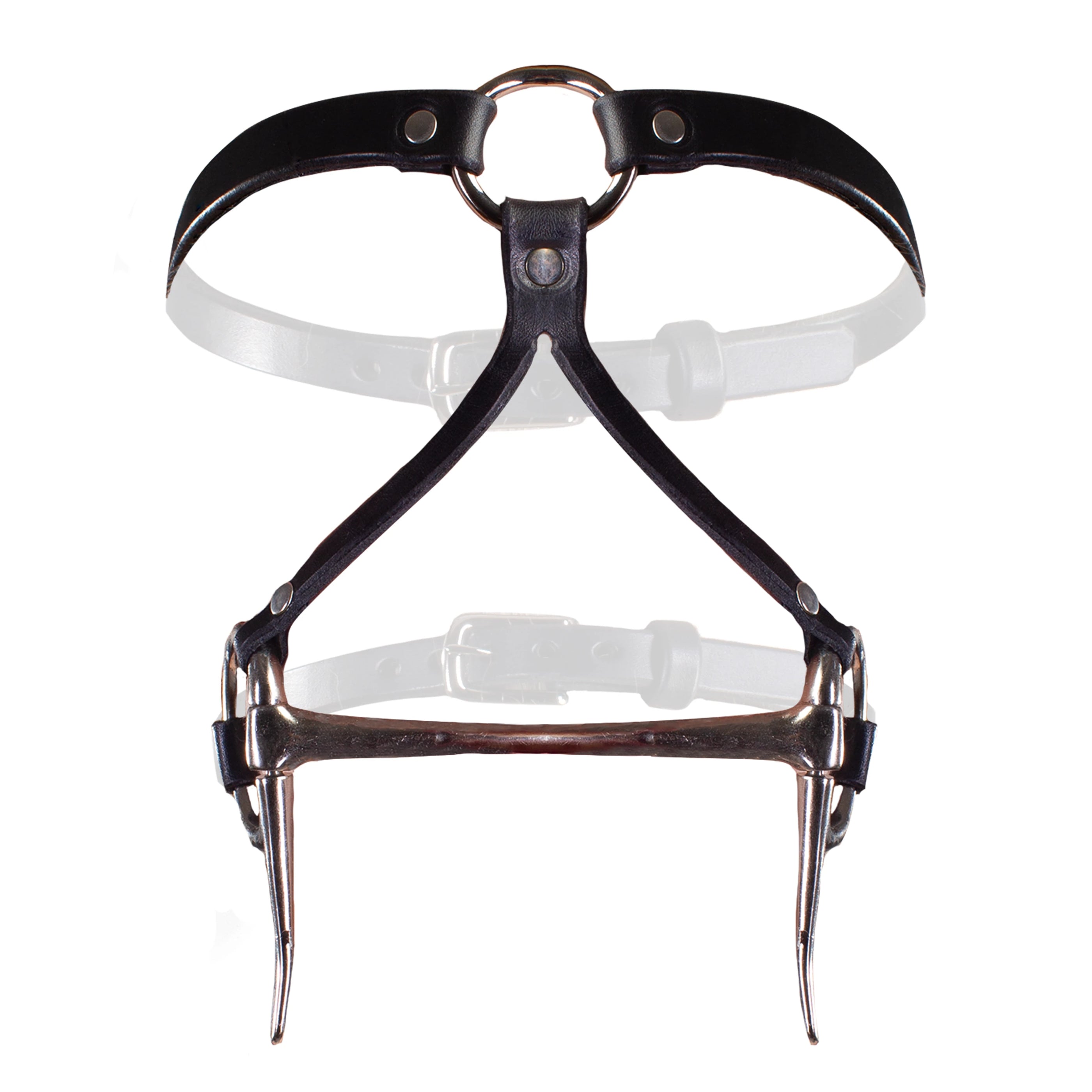Bit Gag Bridle & Reins