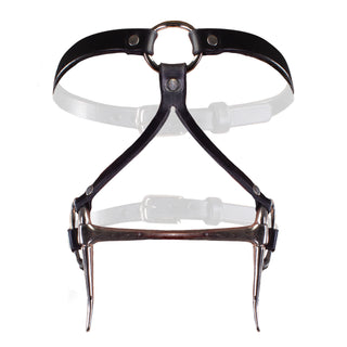 Bit Gag Bridle & Reins