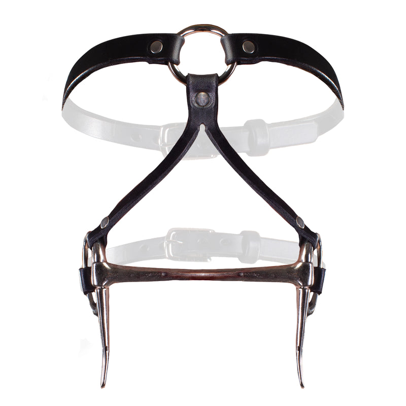 Bit Gag Bridle & Reins