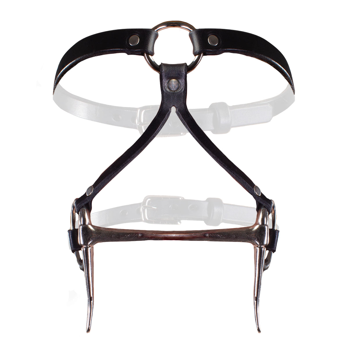 Bit Gag Bridle &amp; Reins