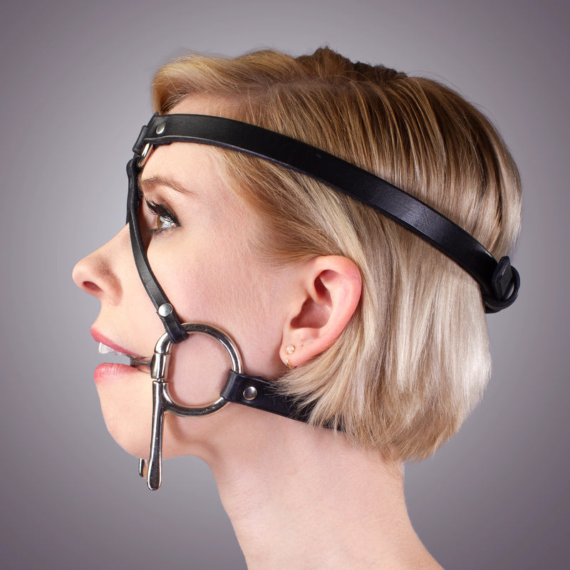 Bit Gag Bridle & Reins
