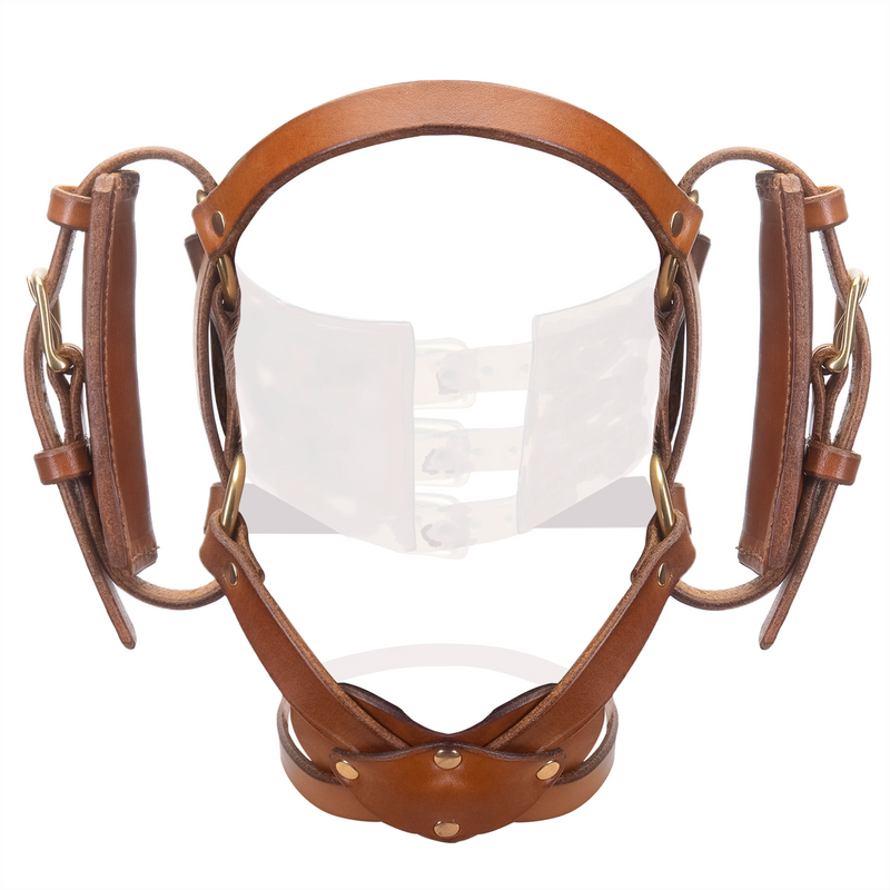 Open Mouth Head Harness