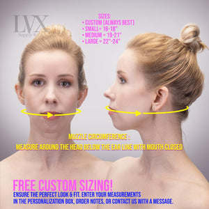BDSM Ball Gag with Leather Collar | LVX Supply & Co. 