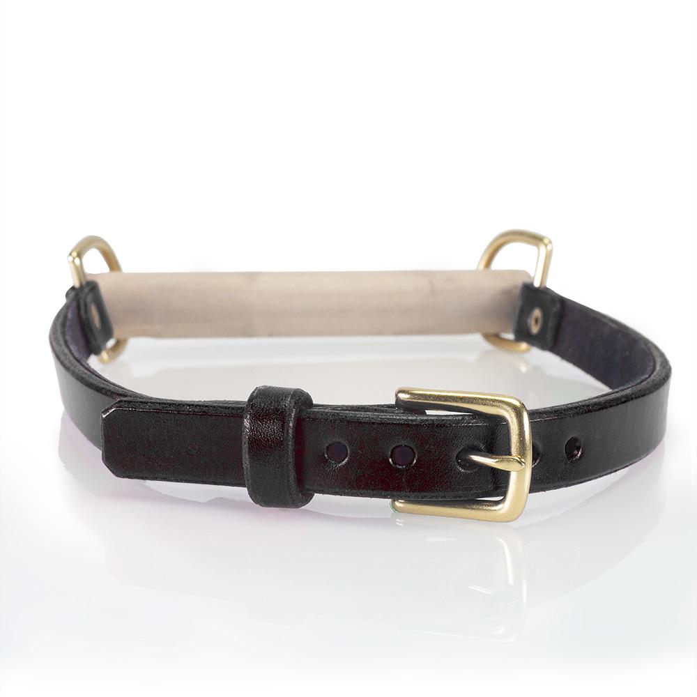 BDSM Bit Gag Leather Collar with Poplar Bit | LVX Supply & Co. 