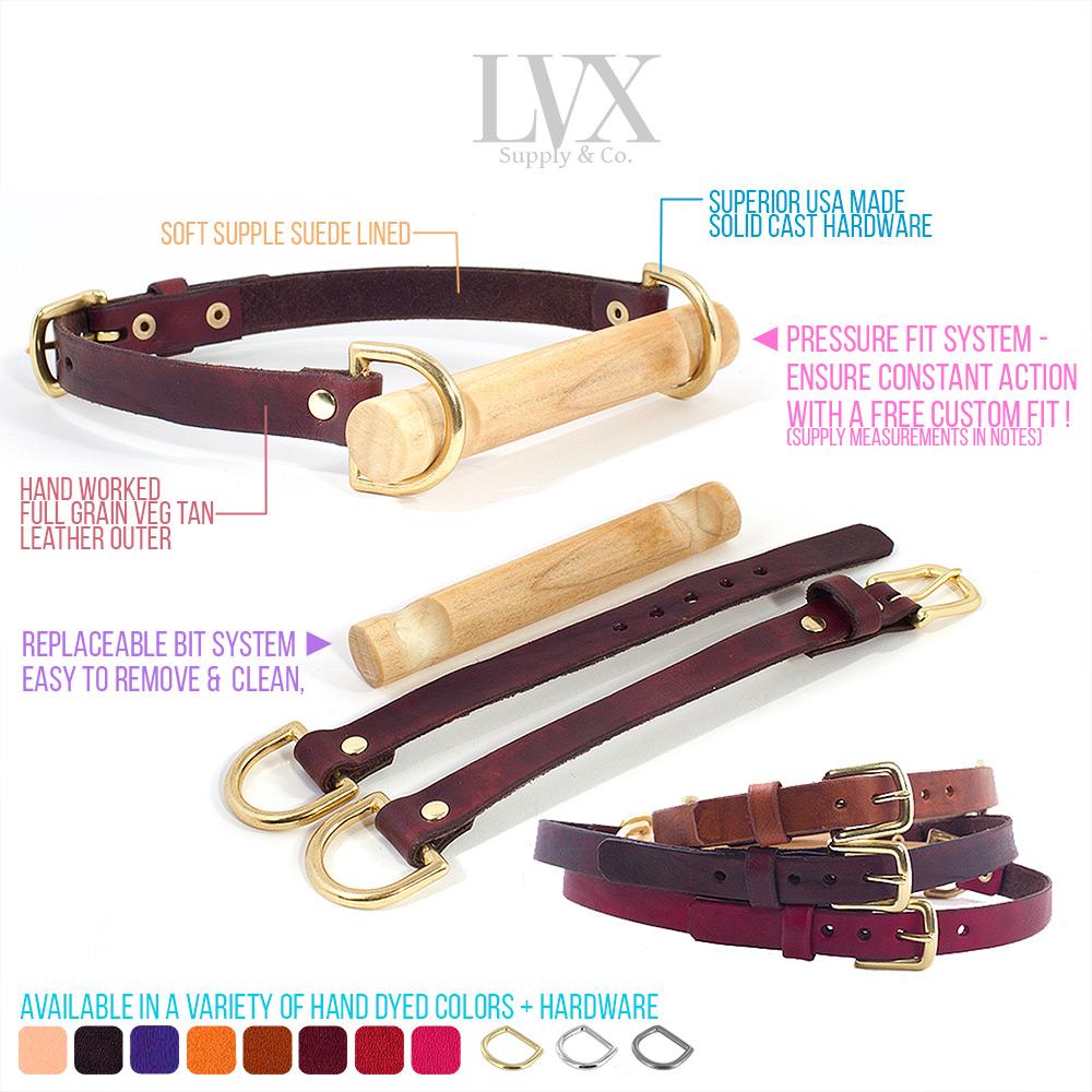 BDSM Bit Gag Leather Collar with Poplar Bit | LVX Supply & Co. 