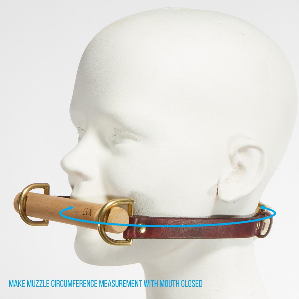 BDSM Bit Gag Leather Collar with Poplar Bit | LVX Supply &amp; Co. 