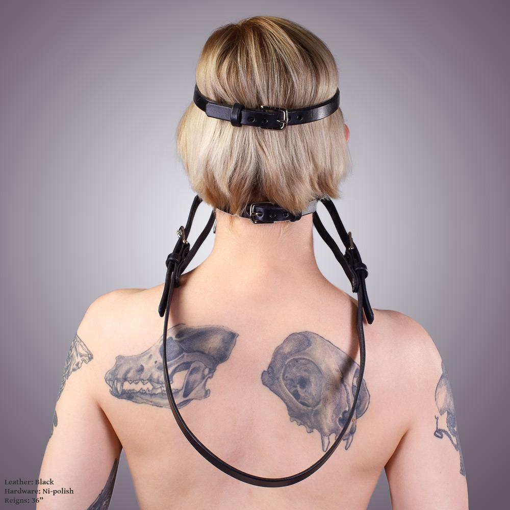 Bit Gag Bridle &amp; Reins