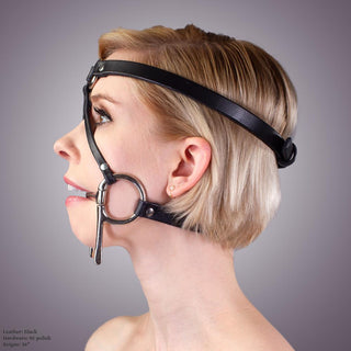 Bit Gag Bridle & Reins