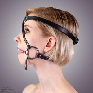 Bit Gag Bridle & Reins
