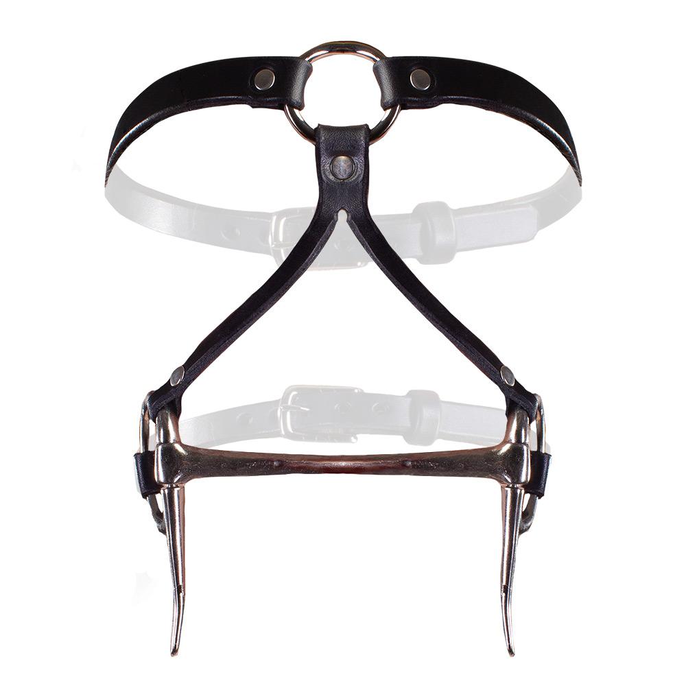 Bit Gag Bridle &amp; Reins