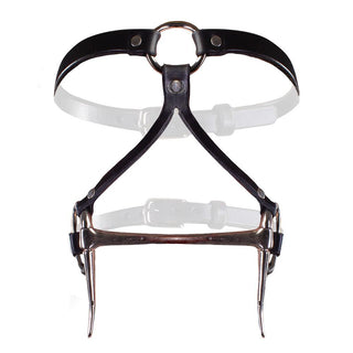 Bit Gag Bridle & Reins