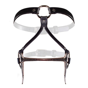 Bit Gag Bridle & Reins