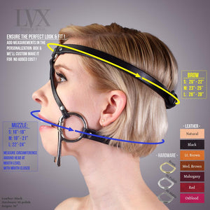 Bit Gag Bridle & Reins