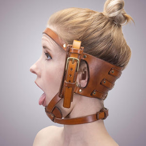 Open Mouth Head Harness
