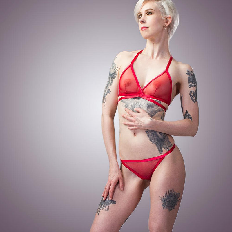 Classic Sheer Mesh Bra & Panty Lingerie Set | Handmade Lingerie by LVX Supply