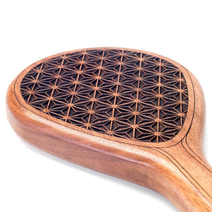 Sesame Paddle