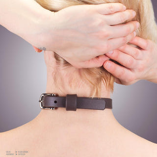 Vegan Day Collar